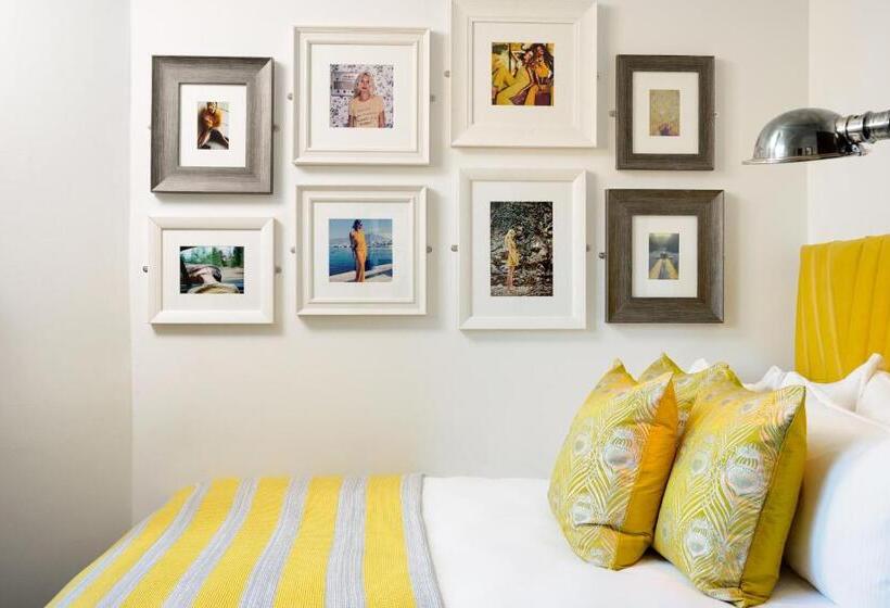 חדר בסיסי, Black Ivy