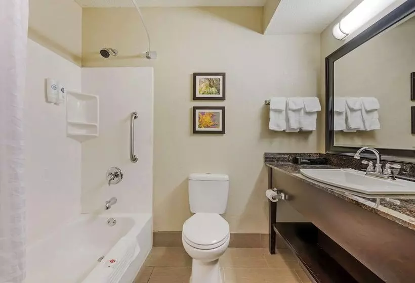 2ダブルベッドのスタンダードルーム, Comfort Inn Airport Turfway Road