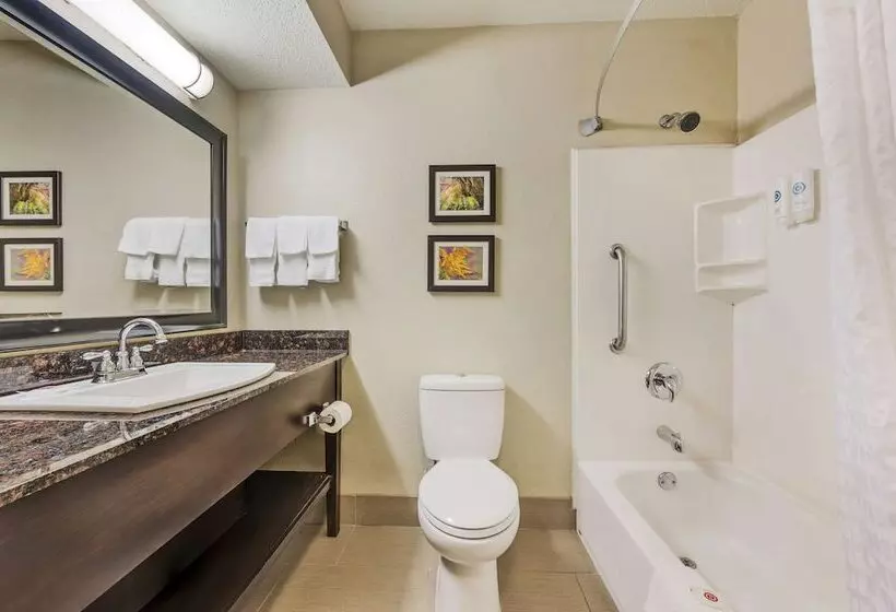 2ダブルベッドのスタンダードルーム, Comfort Inn Airport Turfway Road
