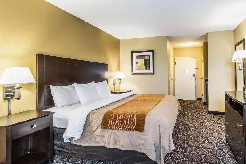 キングサイズベッドのスタンダードルーム, Comfort Inn Airport Turfway Road