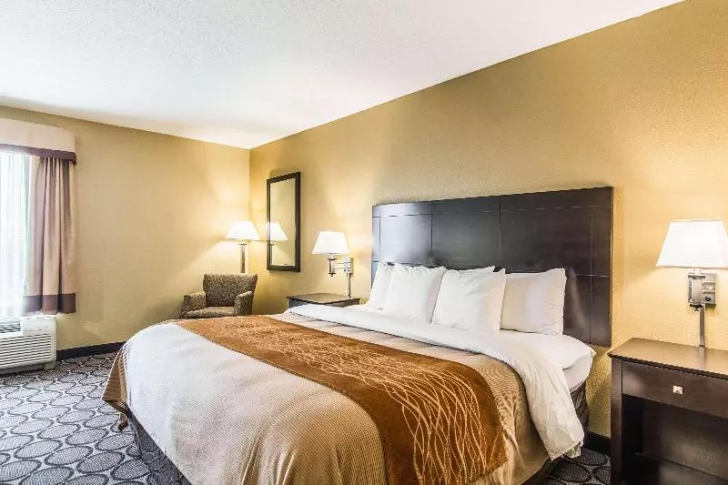 キングサイズベッドのスタンダードルーム, Comfort Inn Airport Turfway Road