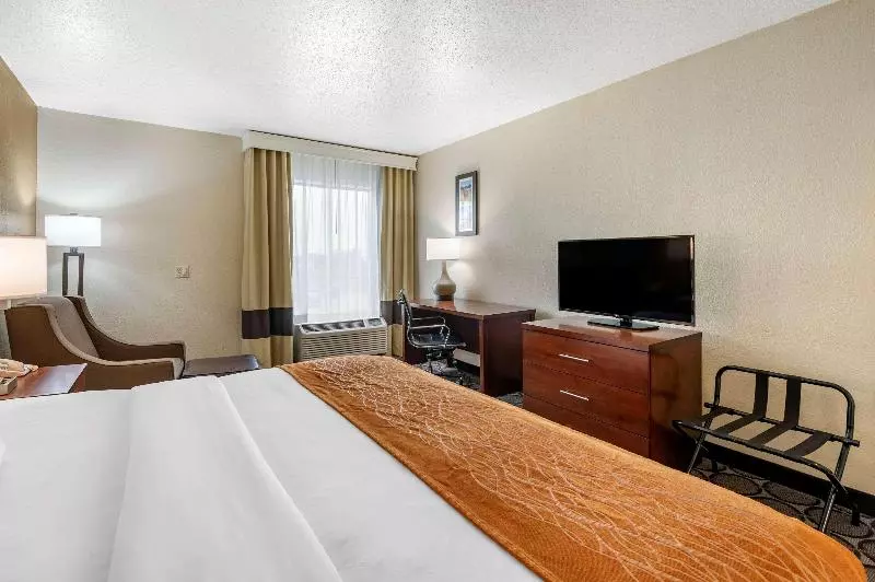 キングサイズベッドのスタンダードルーム, Comfort Inn Airport Turfway Road