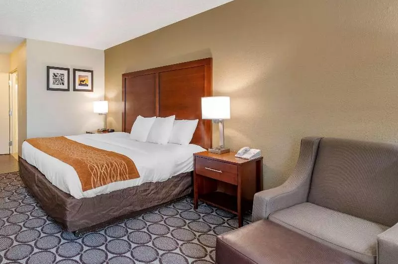 キングサイズベッドのスタンダードルーム, Comfort Inn Airport Turfway Road