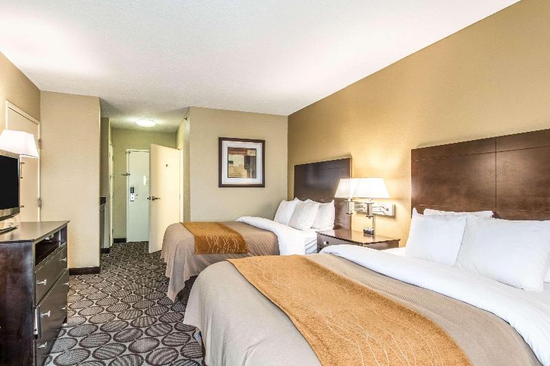 スタンダードルーム, Comfort Inn Airport Turfway Road