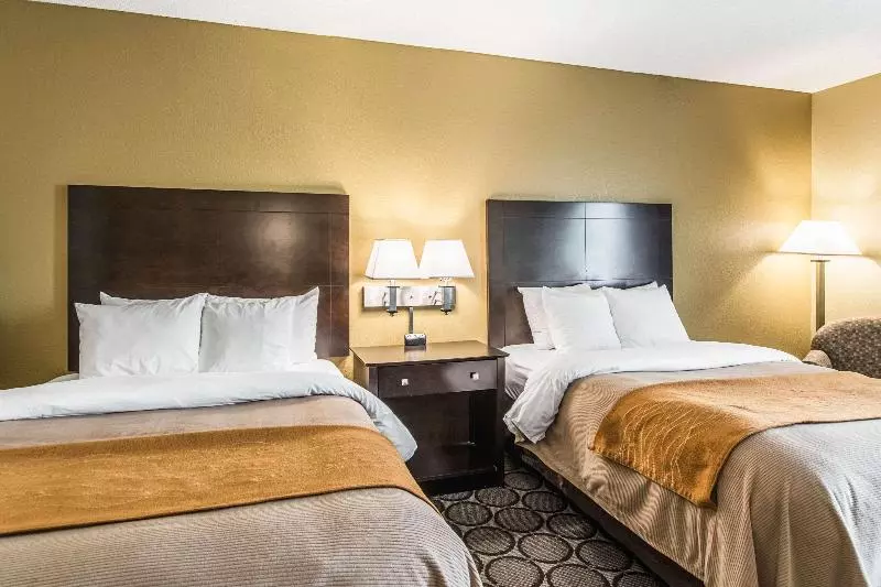 スタンダードルーム, Comfort Inn Airport Turfway Road