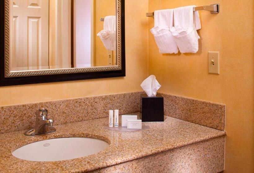 اتاق استاندارد با تخت بزرگ, Courtyard By Marriott Baton Rouge Acadian Centre/lsu Area