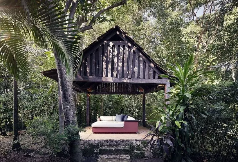 デラックスルーム, Hacienda Uayamon