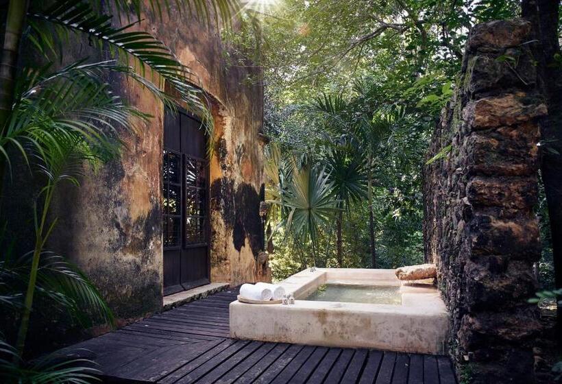 带大床的套房, Hacienda Uayamon