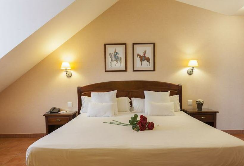 اتاق استاندارد, Hospedium Hotel Los Lanceros