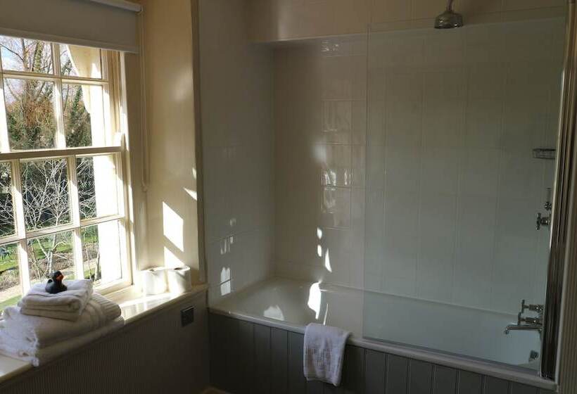 غرفة سوبيريور, The Swan