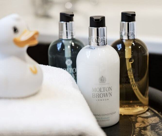 غرفة قياسية, The Swan