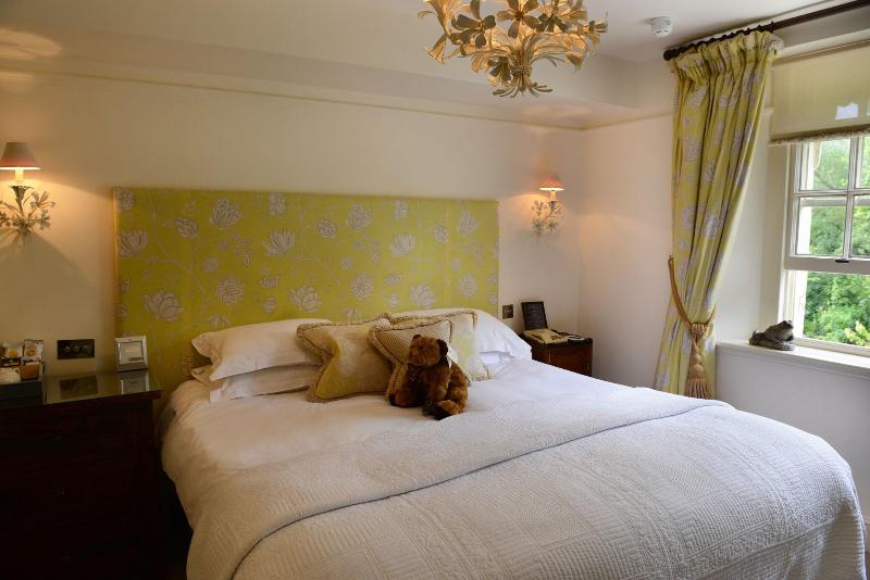 غرفة قياسية, The Swan