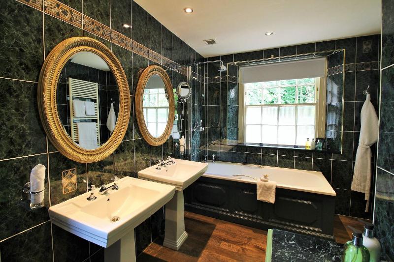 غرفة قياسية, The Swan