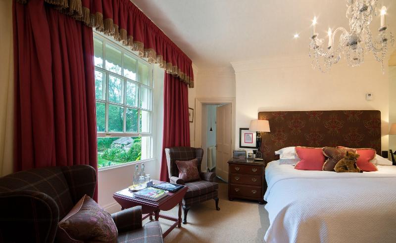 غرفة ديلوكس, The Swan