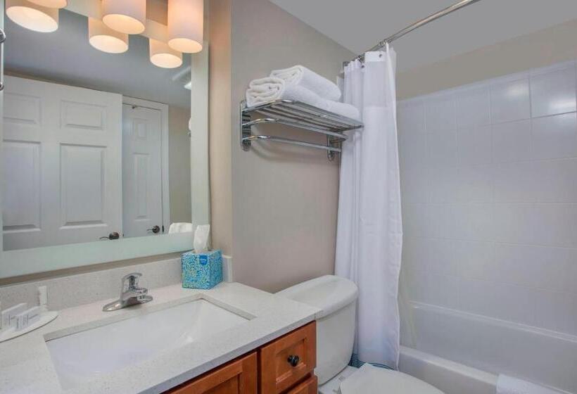 标准工作室, Towneplace Suites Knoxville Cedar Bluff