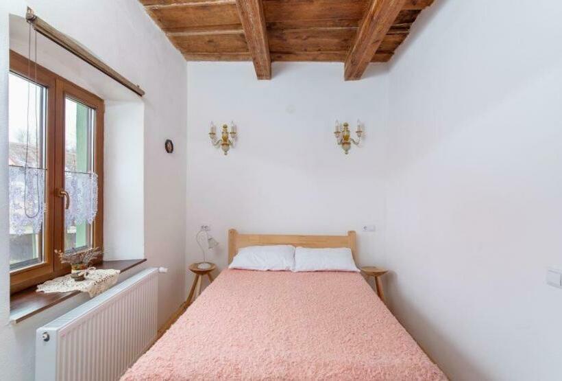 غرفة قياسية فردية, Casa Eva Wagner   Biertan