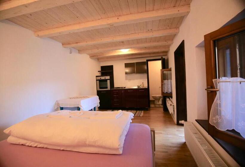 חדר סטודיו סטנדרד, Casa Eva Wagner   Biertan