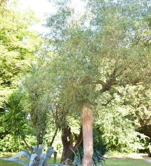 Номер Стандарт, La Villa Saint André Argeles Sur Mer