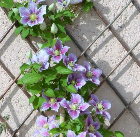 شقة غرفتين, Agriturismo Vallerana