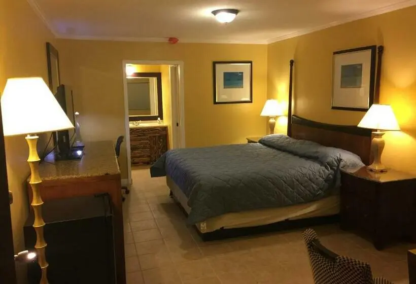 キングサイズベッドのスタンダードルーム, Dragon Inn & Suites