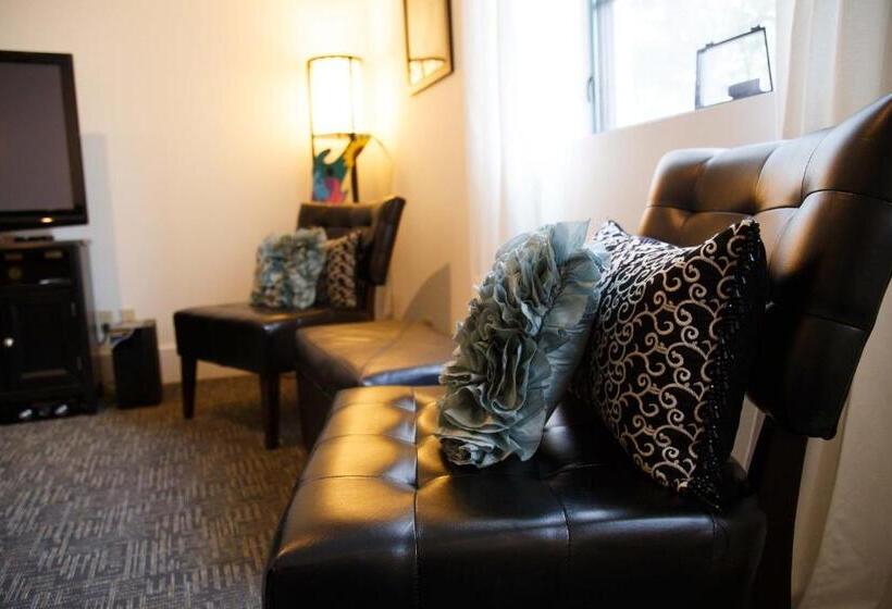 شقة غرفة واحدة, The Lofts At The Five & Dime