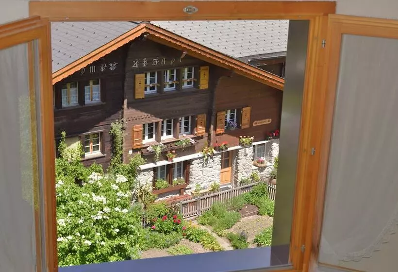 اتاق استاندارد یک نفره, Edelweiss