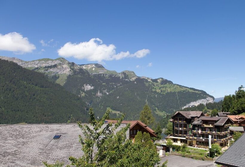 Номер Стандарт, Edelweiss