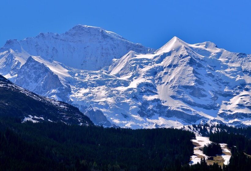 Номер Economy, Edelweiss