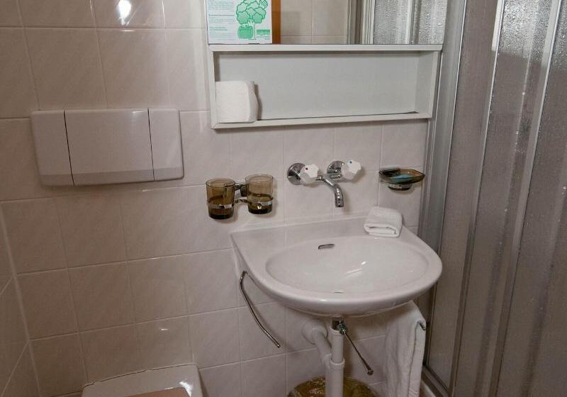 Номер Стандарт, Edelweiss