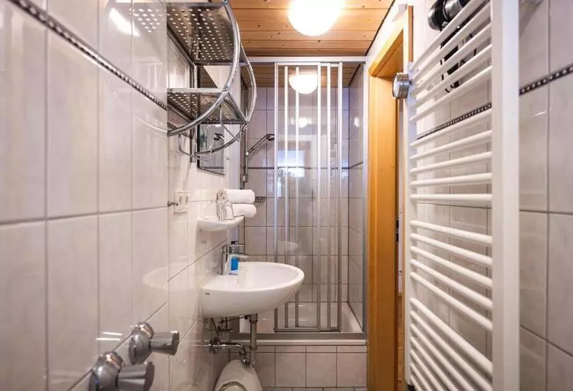 Superior Single Room, Restaurant Forellenbach