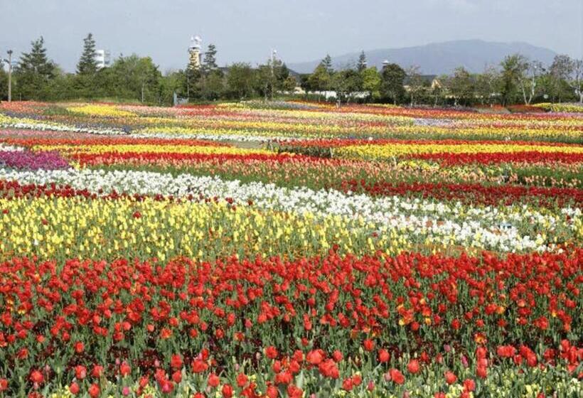 إستوديو قياسى, Kuwana Park