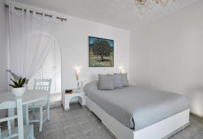 高级大房间, Andromeda Villas & Spa Resort