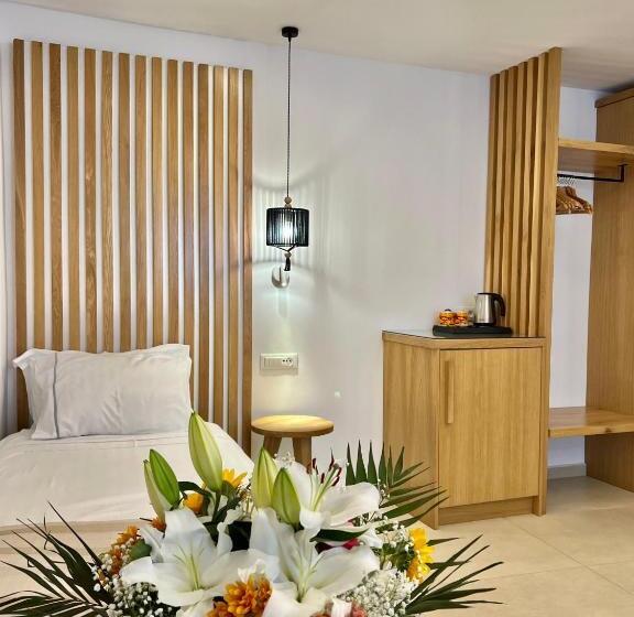 Номер Стандарт Трехместный, Damianos Mykonos