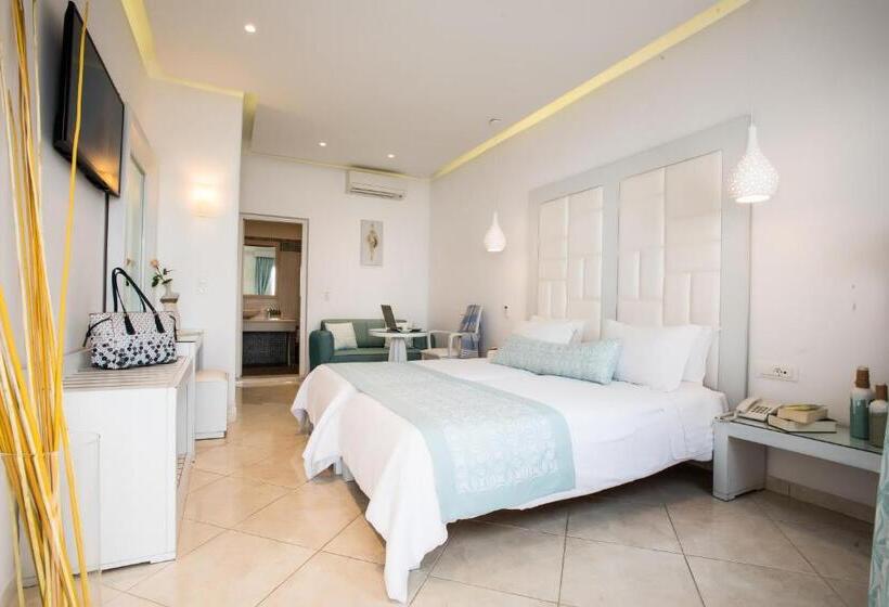 수피리어 룸, Damianos Mykonos