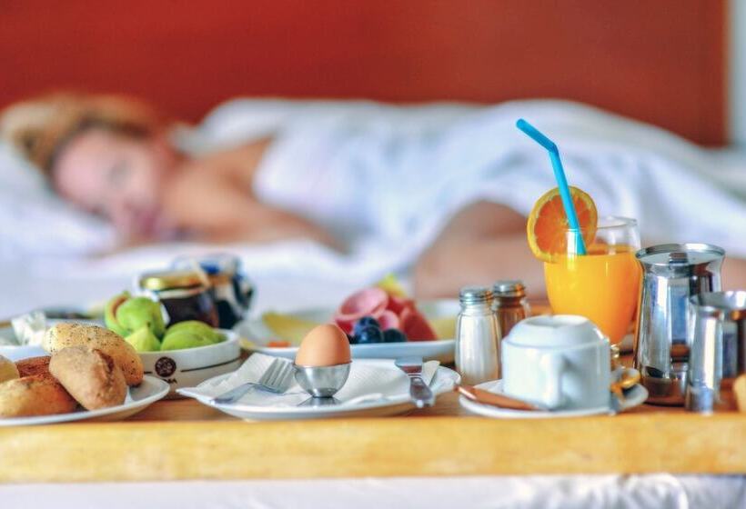 חדר סטנדרטי יחיד עם נוף לים, Xenia Ouranoupolis