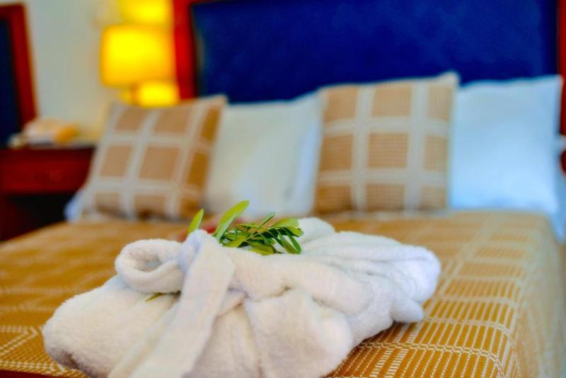 חדר סטנדרטי יחיד עם נוף לים, Xenia Ouranoupolis