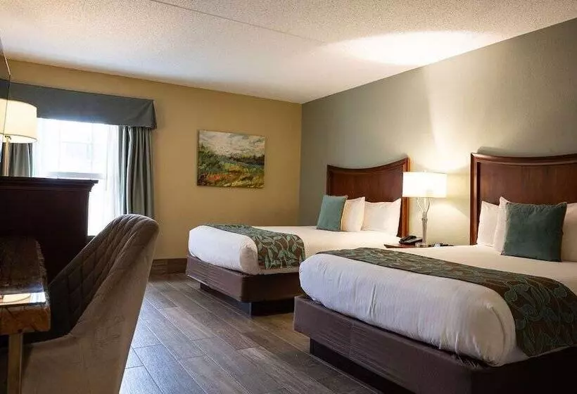 スイート, D. Hotel Suites & Spa