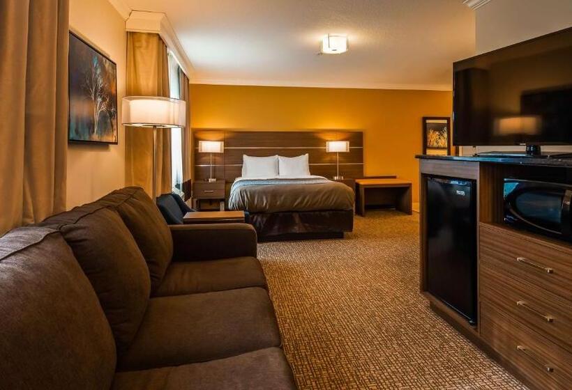 חדר סטנדרט מותאם לאדם עם מוגבלויות, Best Western Paradise