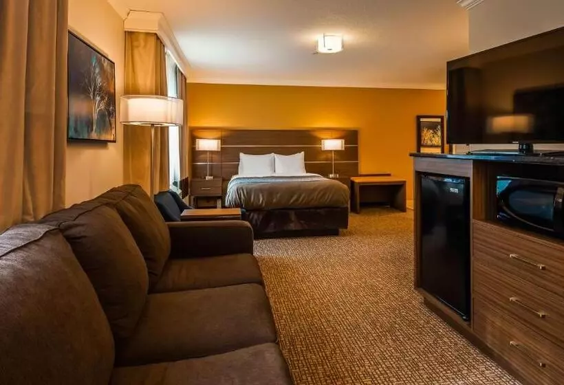 اتاق استاندارد برای معلولان, Best Western Paradise