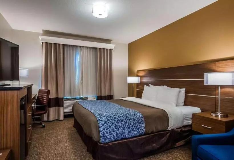 اتاق استاندارد با تخت بزرگ برای معلولان, Best Western Paradise