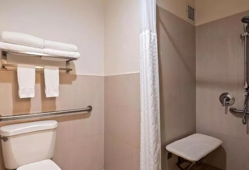 اتاق استاندارد با تخت بزرگ برای معلولان, Best Western Paradise