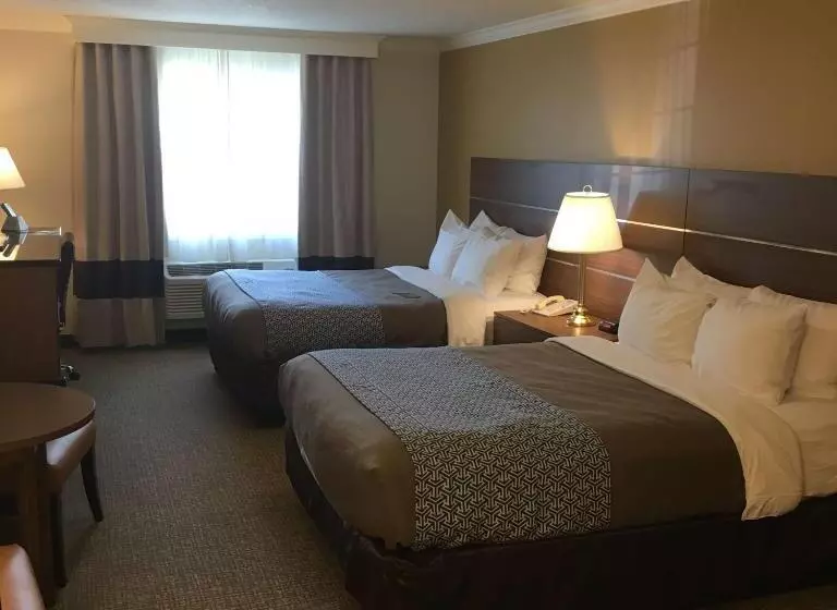اتاق استاندارد, Best Western Paradise