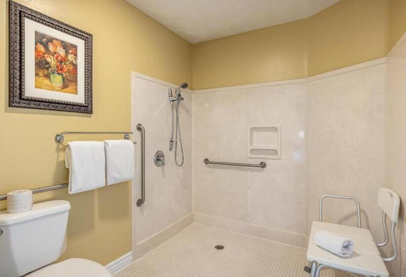 适用于残疾人士的豪华房间, Canyons Boutique Hotel A Canyons Collection Property