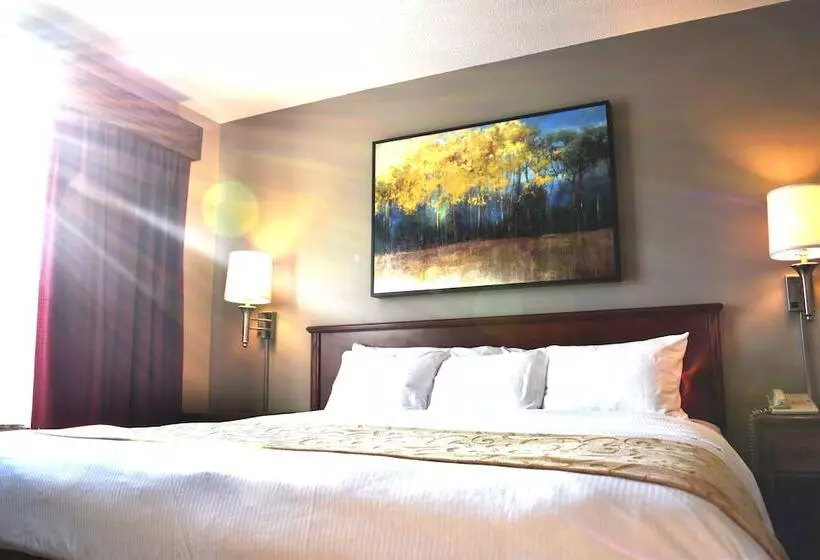 スイート, Country Inn River Falls
