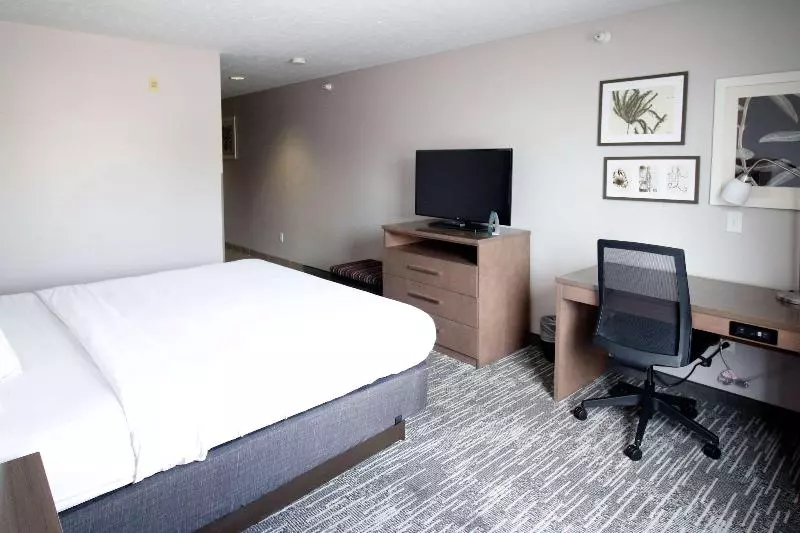 キングサイズベッドのスタンダードルーム, Country Inn & Suites By Radisson, Council Bluffs, Ia