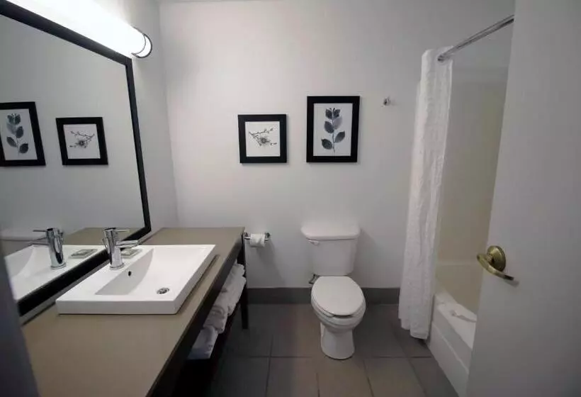 キングサイズベッドのスイートルーム, Country Inn & Suites By Radisson, Council Bluffs, Ia