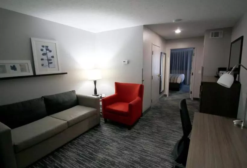 キングサイズベッドのスイートルーム, Country Inn & Suites By Radisson, Council Bluffs, Ia