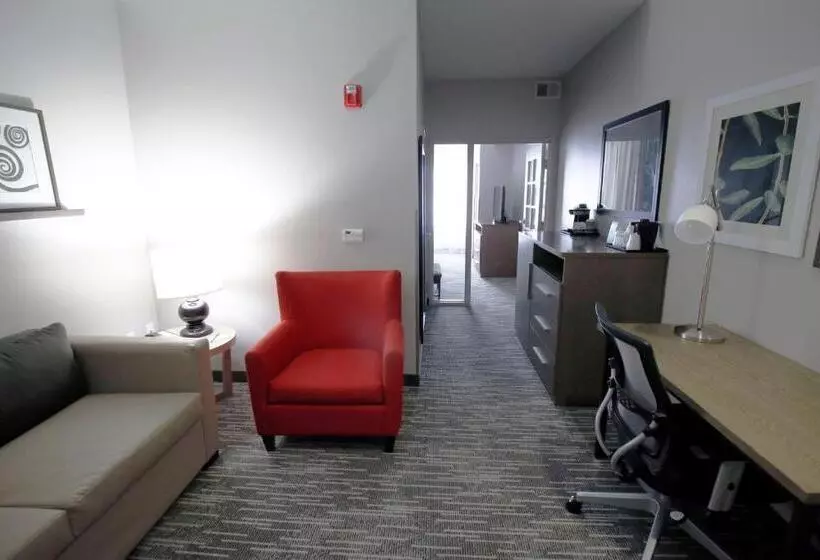 キングサイズベッドのスイートルーム, Country Inn & Suites By Radisson, Council Bluffs, Ia