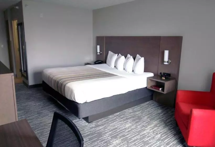 キングサイズベッドのスタンダードルーム, Country Inn & Suites By Radisson, Council Bluffs, Ia