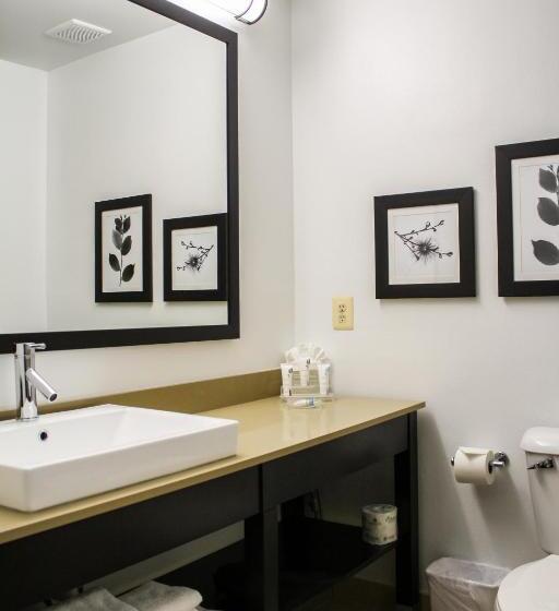 스탠다드 룸 킹사이즈 침대, Country Inn & Suites By Radisson, Washington Dulles International Airport, Va